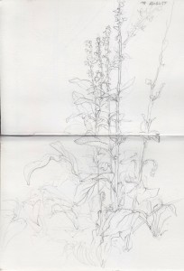 Spread 08