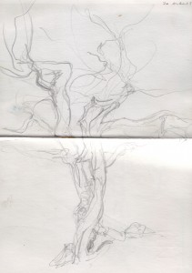 Spread 16