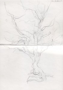 Spread 18
