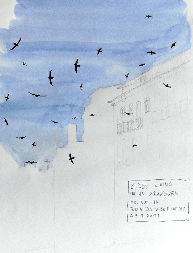 Birds in Lisbon