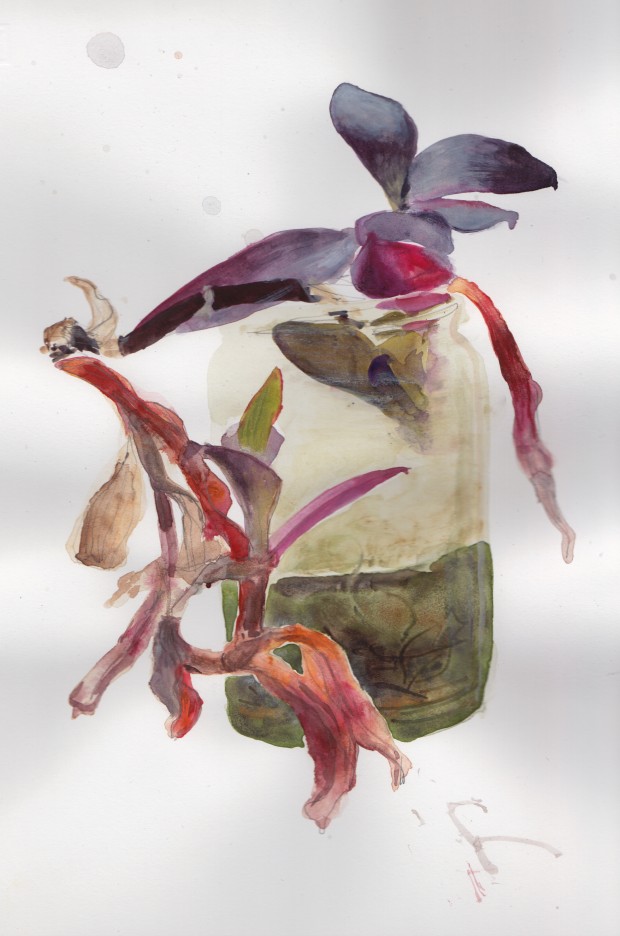 11_Plants_0009