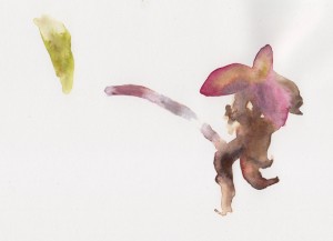 Colour study from the same angle as the pencil study.