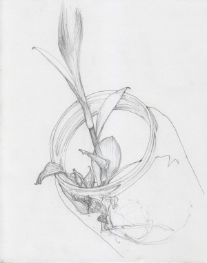 Pencil drawing led by light grey ink outlines.