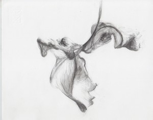 Pencil over charcoal.