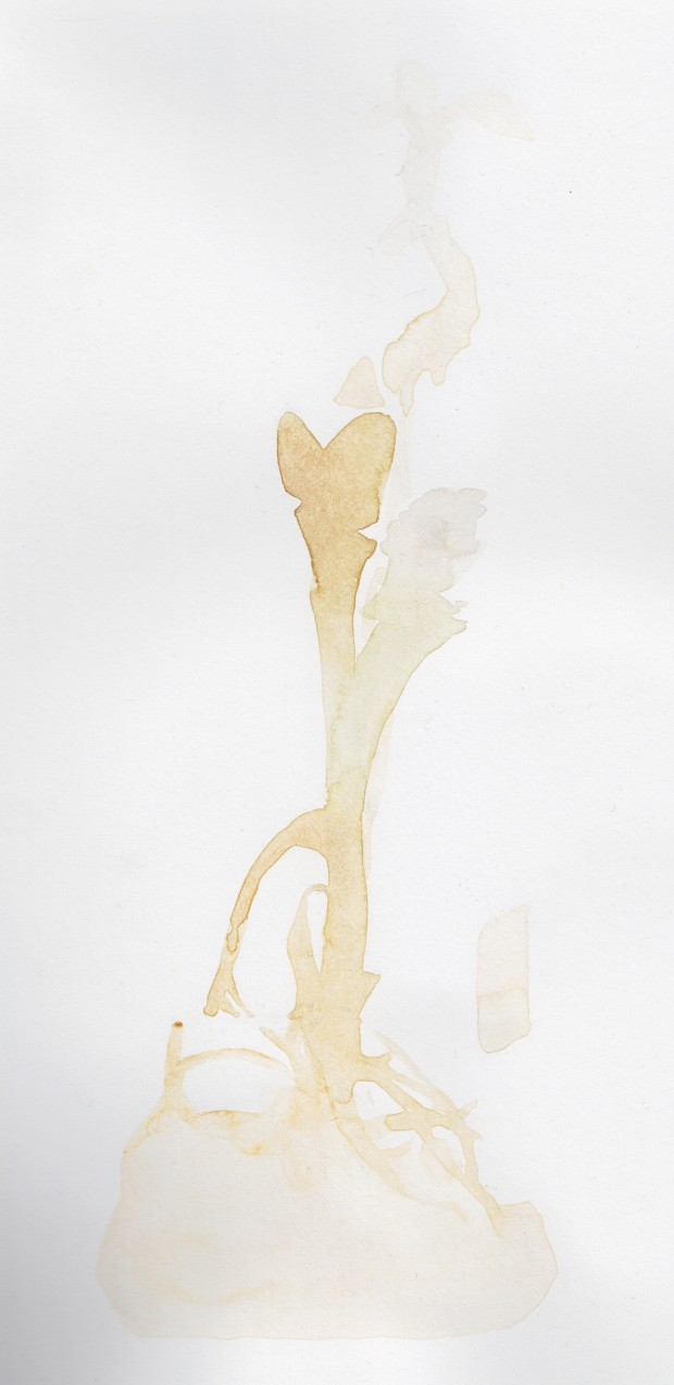 This was just supposed to be the first layer of a watercolor, but I did not get to finish it for a few days and by then I liked it too much as it was.
