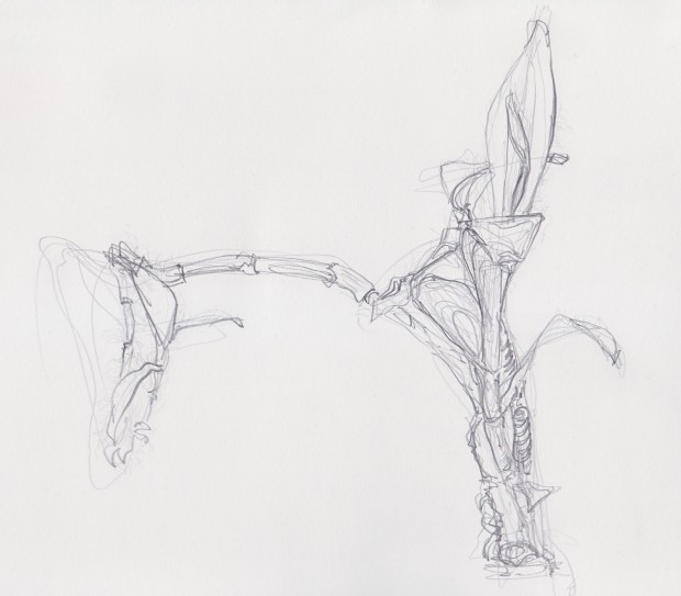 Loose pencil drawing.