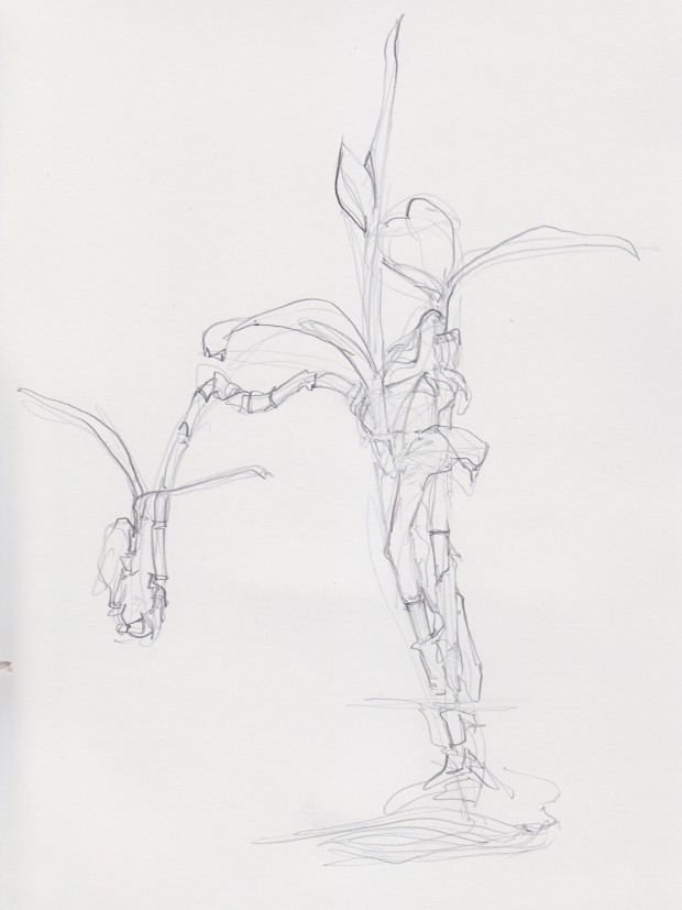 Loose pencil drawing.