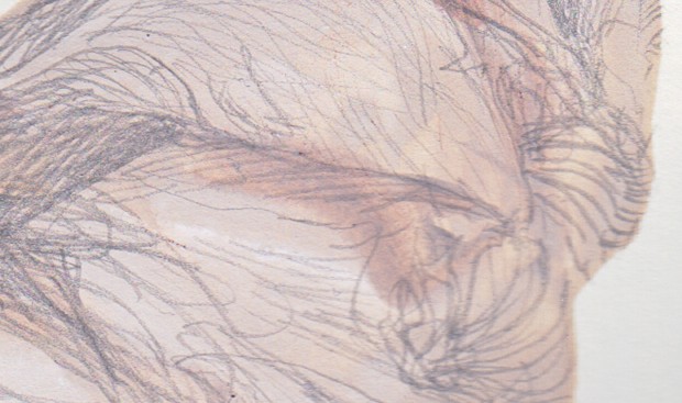 Detail.