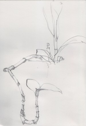 Quick sketch with a 8B pencil