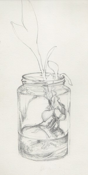 Pencil