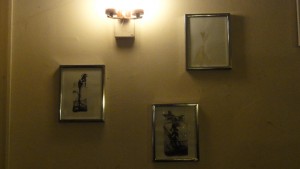 Plants in Glasses – Ink Drawings