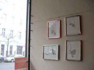 Second batch of plant drawings on the wall (that copper frame has a much more pleasing color in reality)