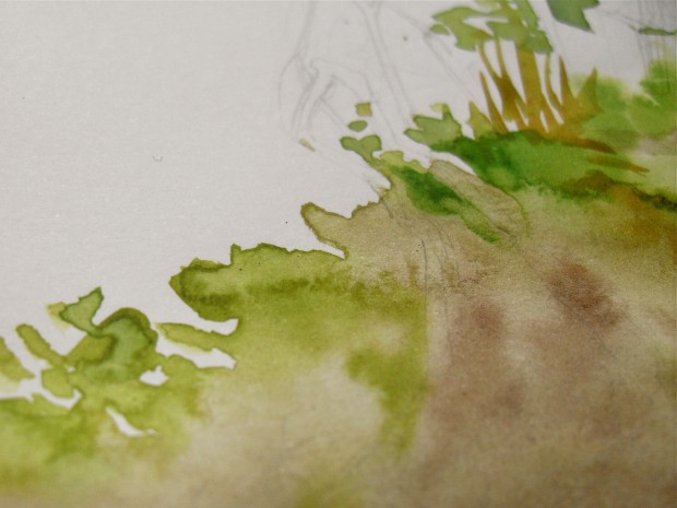 Detail of the first layer of watercolor.