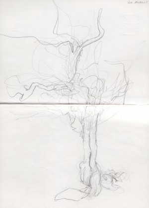 Spread 17