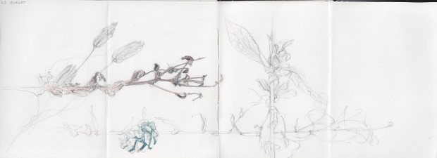 Spread 26
