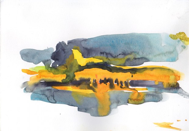 Morning at a pond 1