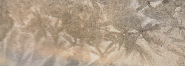 Freudenberg_12_12_22_detail_b