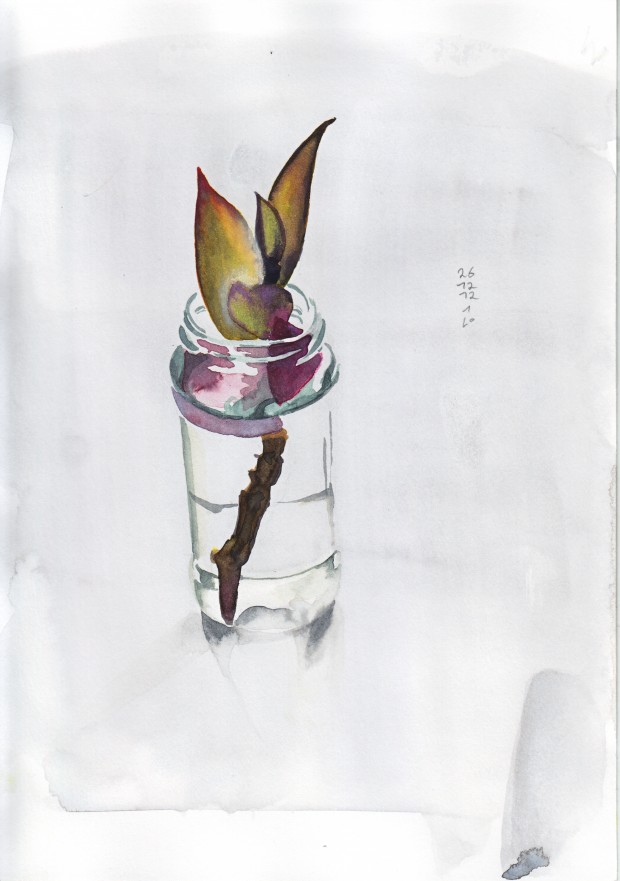 Plant-1