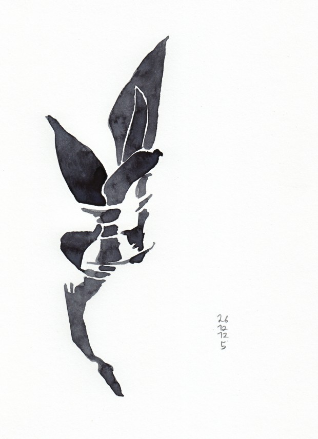 Plant-5