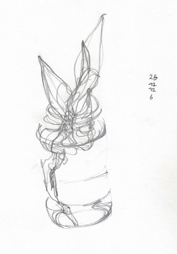 Plant-6