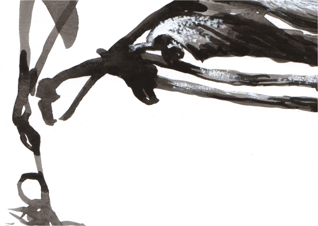 mistletoe_detail2